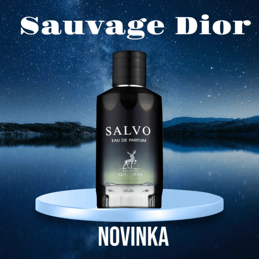 SAUVAGE DIOR (1)